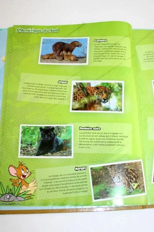 Album Jungle Mania, nossas aventuras na floresta tropical – photo 4